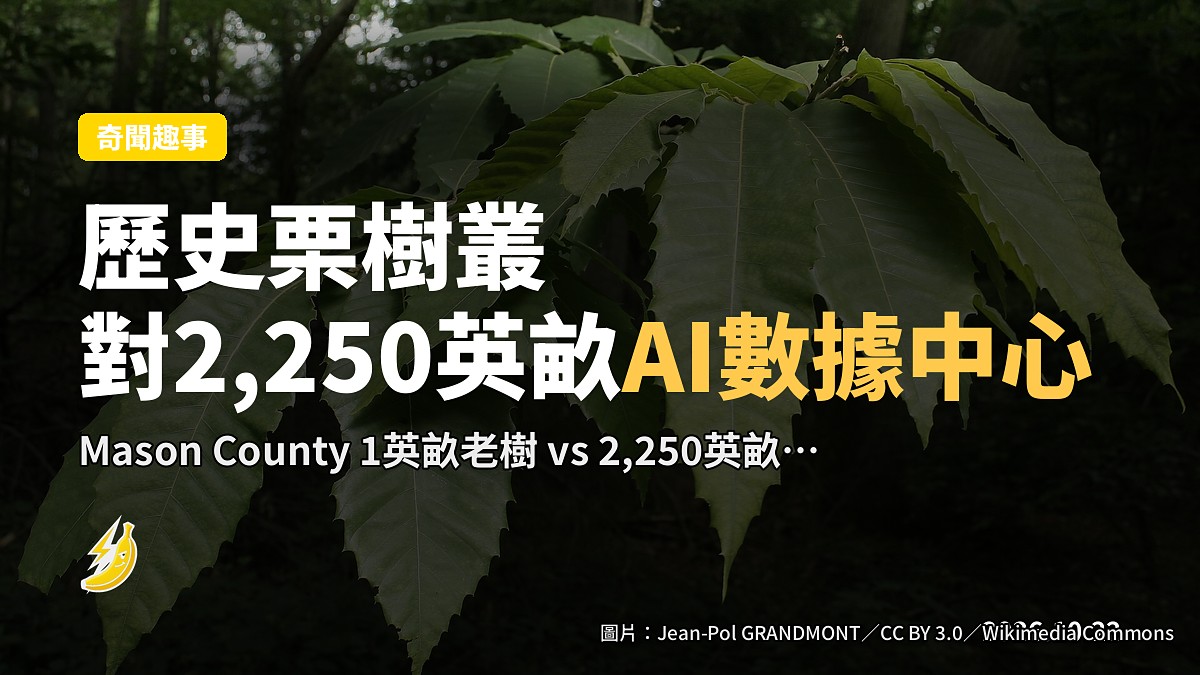 西維吉尼亞歷史栗樹叢對2,250英畝AI數據中心:小樹仔大起義