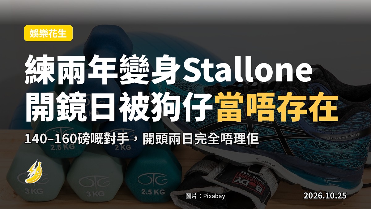 Ippolito喺AFI Fest《I Play Rocky》放映現場（示意圖）