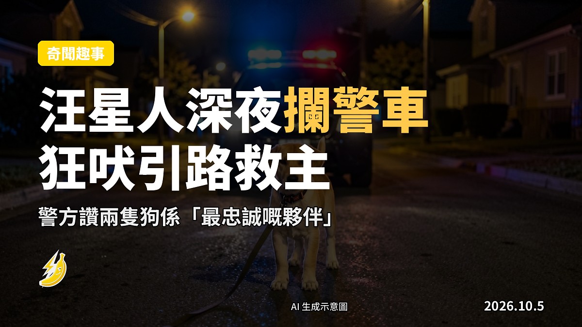 深夜，一只繫住牽繩嘅狗獨自站在空曠嘅住宅區馬路中央，面對亮緊燈嘅警車（示意圖）
