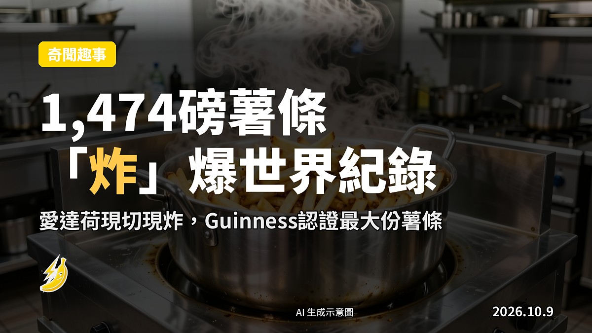 一鍋極大份量嘅金黃薯條，示意圖
