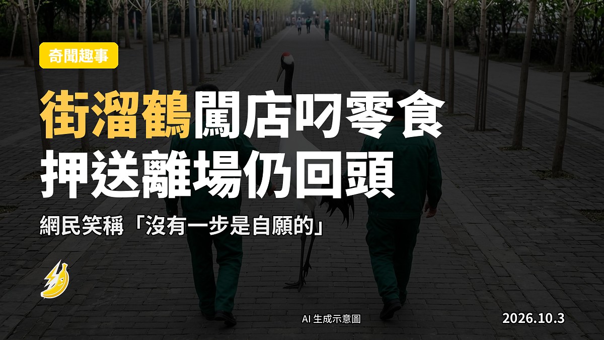 示意圖：兩名工作人員在路上帶領一隻丹頂鶴，並非事件現場照片。
