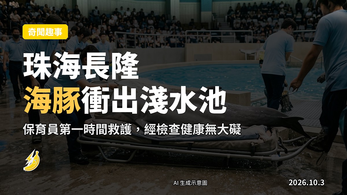 珠海長隆海豚劇場，一隻海豚衝出淺水區平台後躺喺濕嘅混凝土平台上，背景有保育員（面部不可見）正在處理，示意圖。