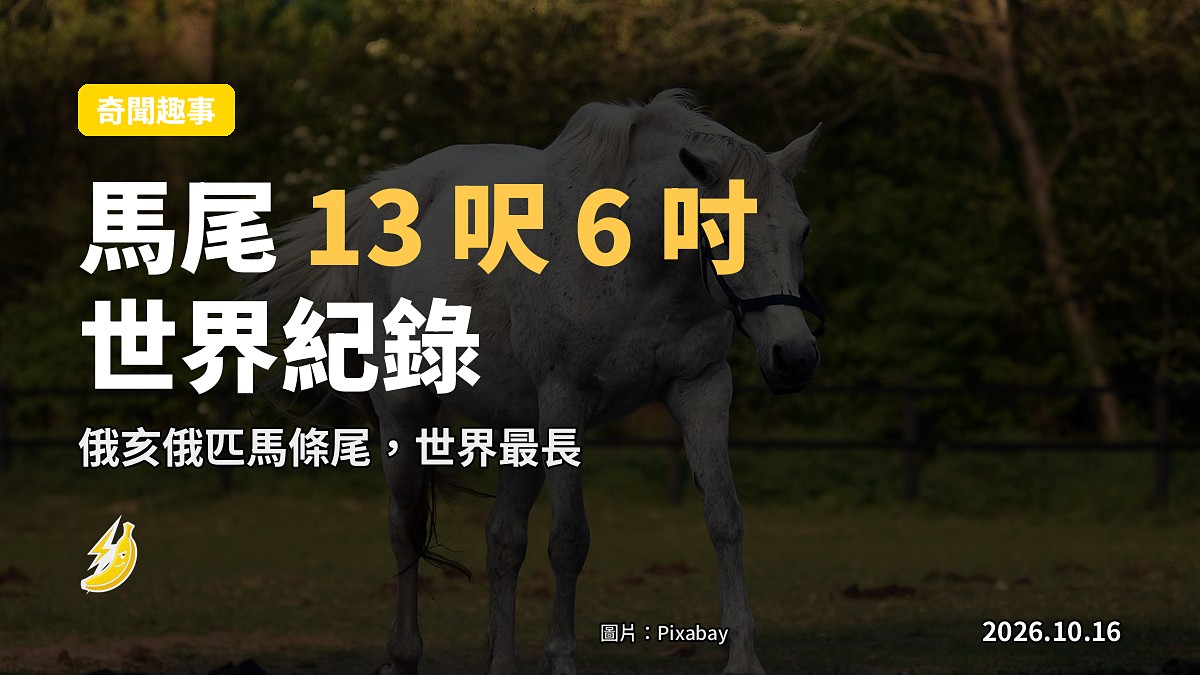 一匹長髮馬喺俄亥俄州農場，長尾甩甩掛掛