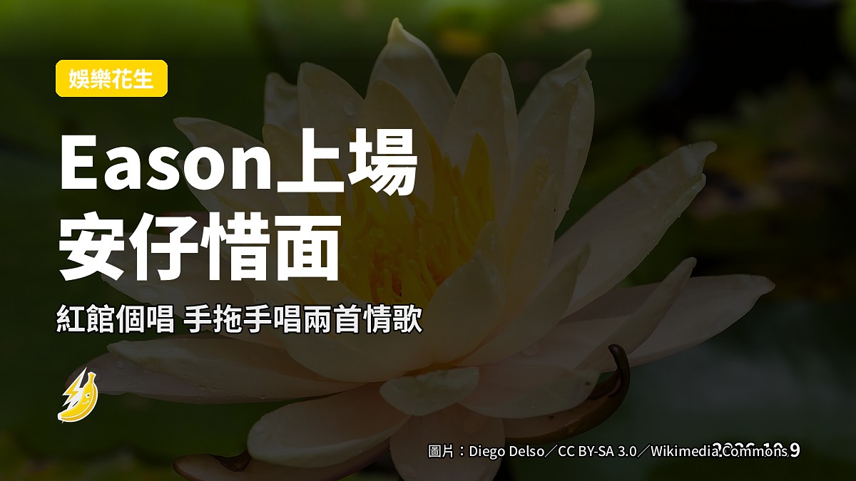 紅館舞台上一對歌手手拖手合唱，燈光斑駁，遠處觀眾剪影。