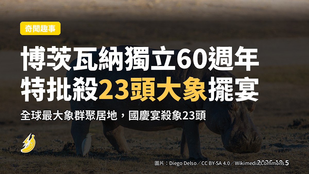 博茨瓦納荒原中嘅大象（示意圖）