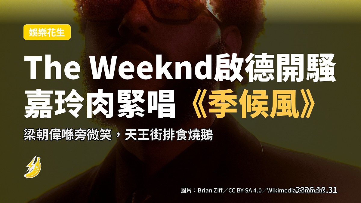 歌手喺大型球場舞台演出，台下包廂坐住明星嘉賓，概念插畫