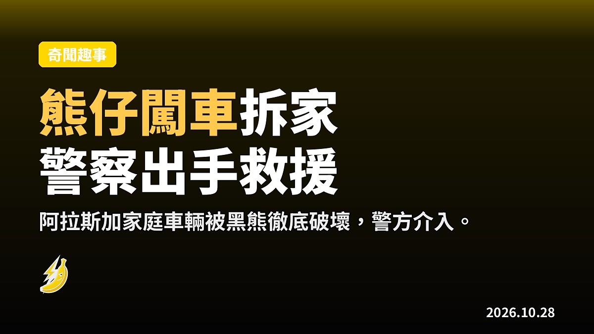 阿拉斯加熊仔闖車拆家，警員出手終結浩劫