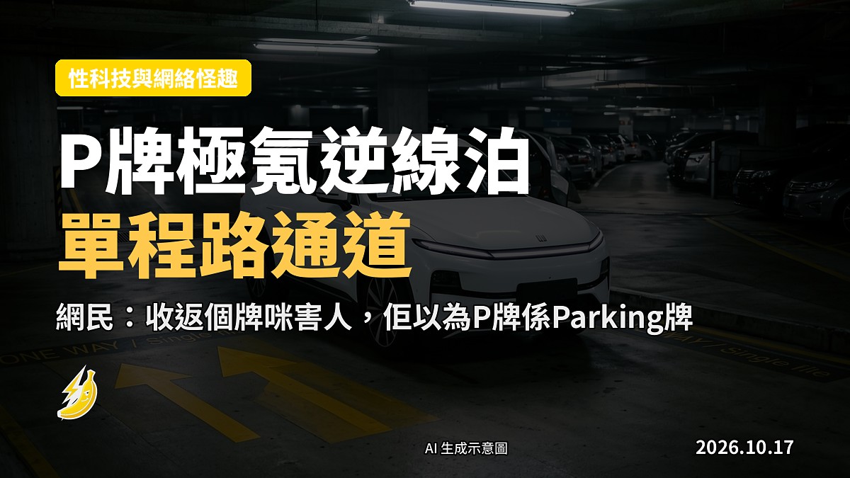 停車場通道示意圖(地面无泊车位格線,僅有單向箭嘴)
