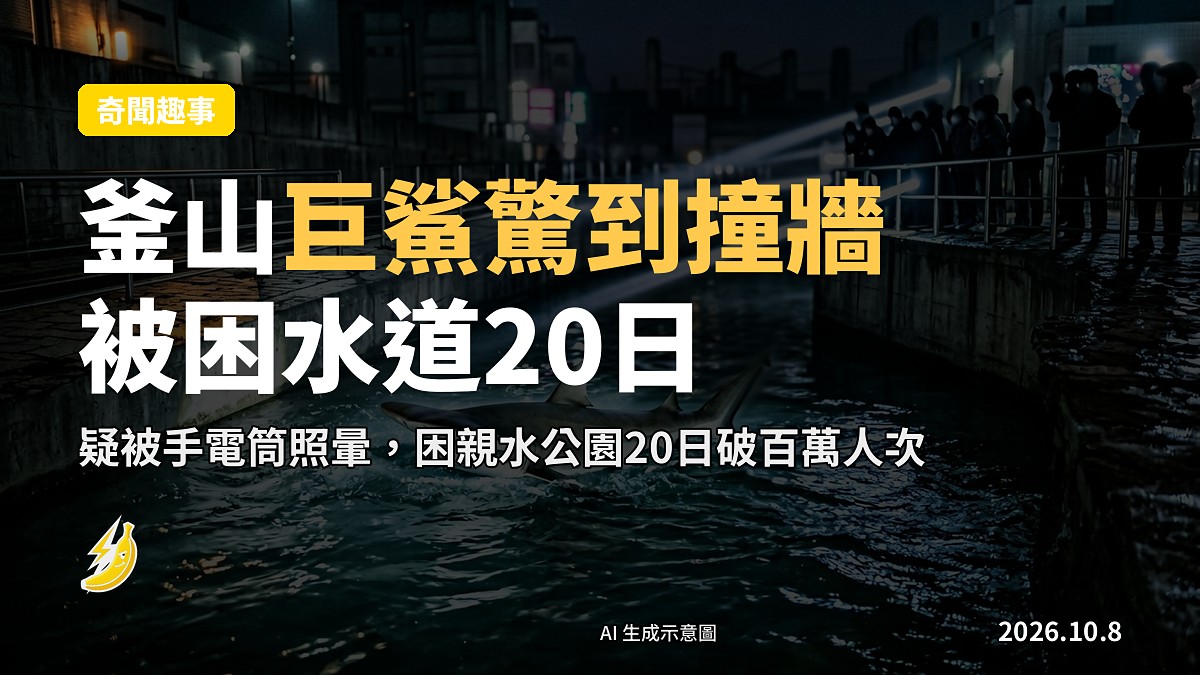 人工水道內一隻巨鯊受驚扭動，岸邊有強光手電筒照射水面（示意圖）